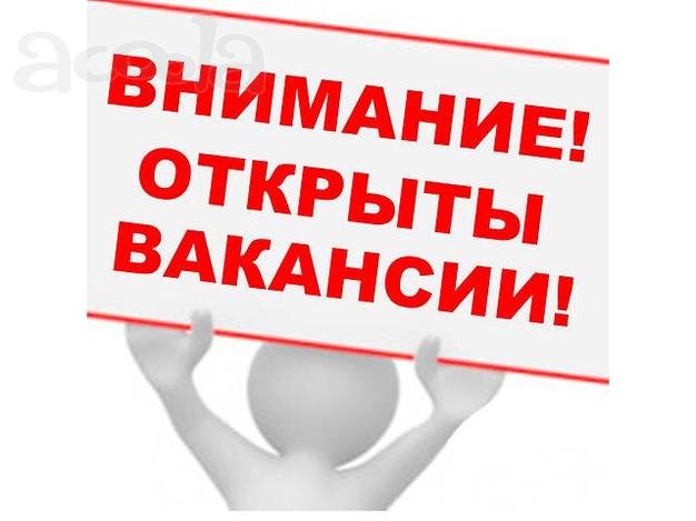 Сотрудники требуются на удаленку.